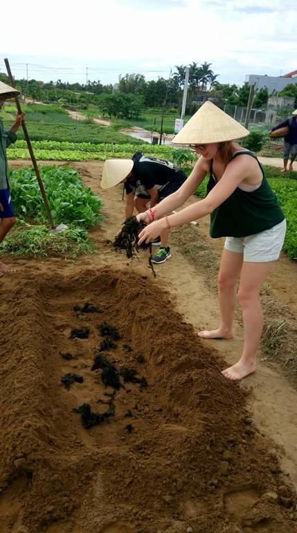 Green House Homestay Hoi An Exterior foto